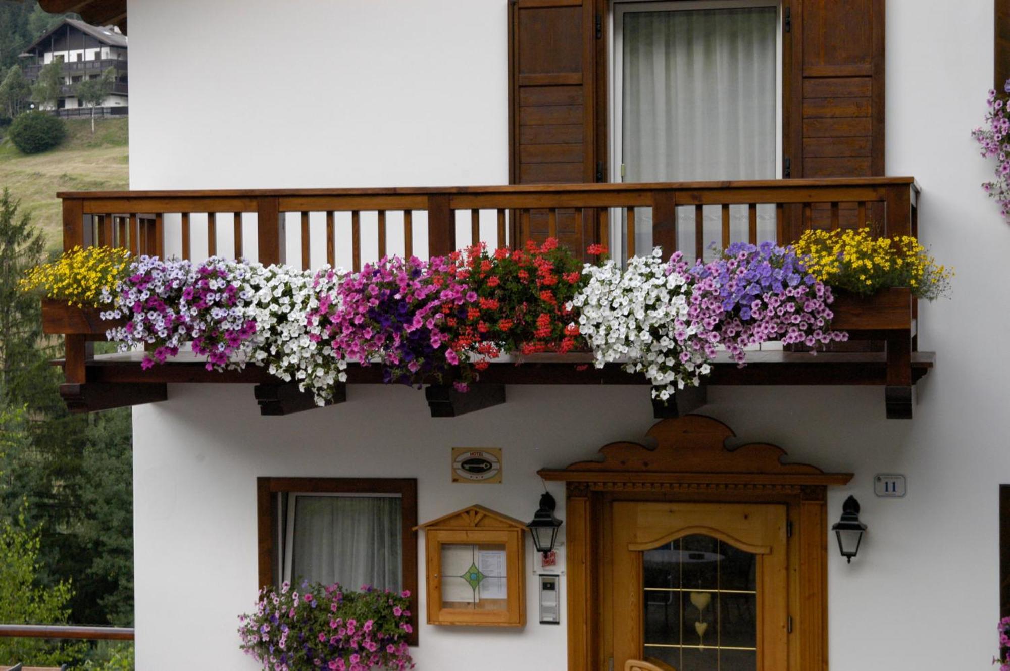 Debra Park Hotel Moena Εξωτερικό φωτογραφία
