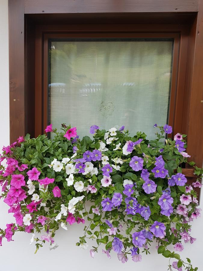 Debra Park Hotel Moena Εξωτερικό φωτογραφία